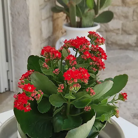 Affittacamere La Maison 3*